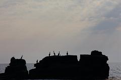 153-San Pietro,28 luglio 2014